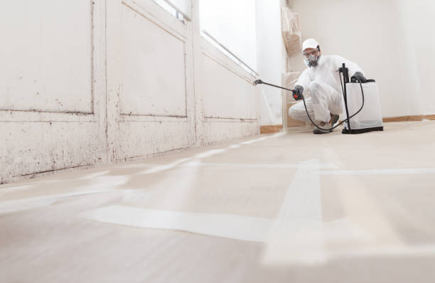 24/7 Emergency Crawl Space Mold Removal experts in Princeton, IL